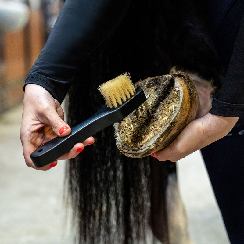 Royal Grooming Set – luksus børstesett til hest