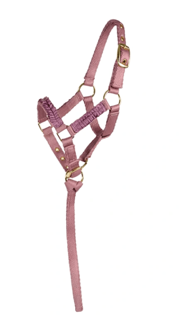 HS Føllgrime - myk web