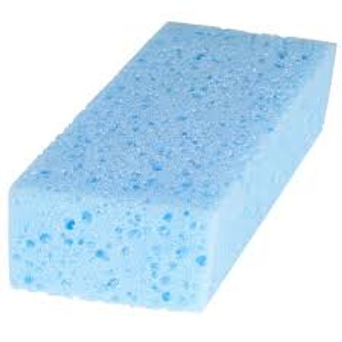 Hovedbilde Absorberende svamp