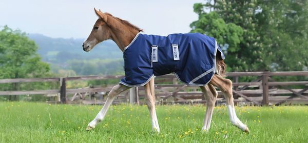 Hovedbilde Følldekken Bucas 50 g