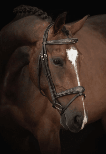 Hovedbilde Lippo supreme fancy hodelag