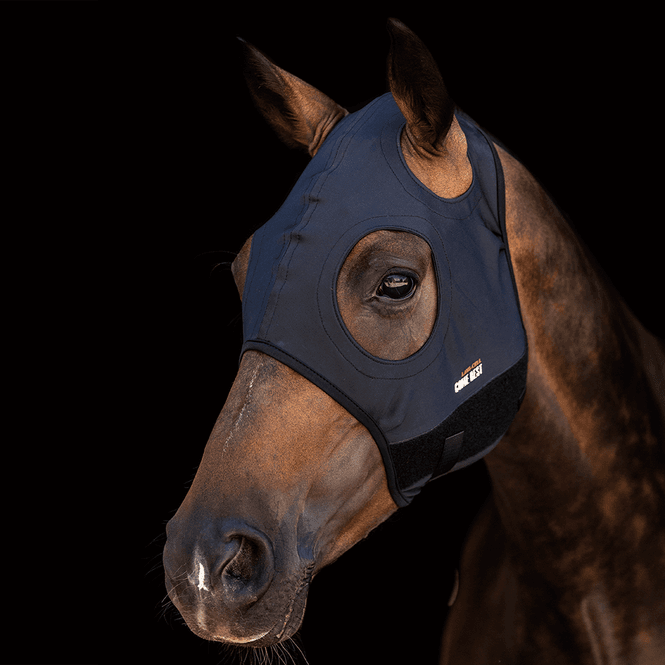Hovedbilde Titanium Mask