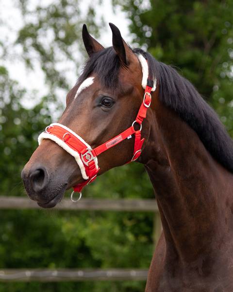 Hovedbilde Kapsun i kraftig nylon ...