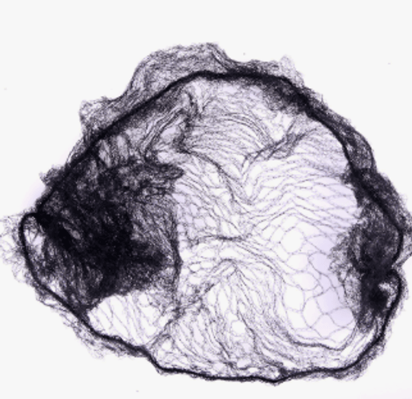 Hovedbilde Hårnett fra QHP