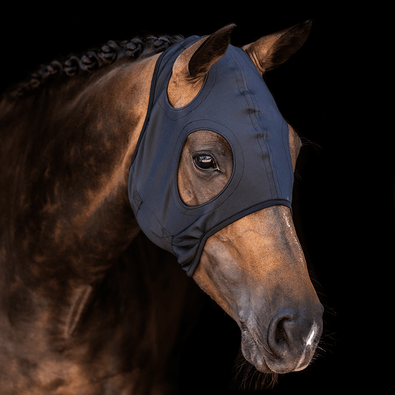 Titanium Mask