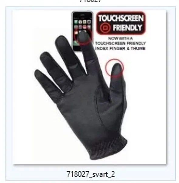 Hovedbilde Foret hanske Nihon Heimer