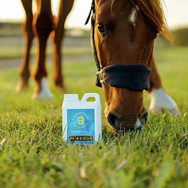 Hovedbilde Biofarmab E vitamin Selo E 1 ...