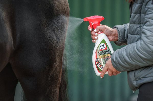 Hovedbilde TamTamVet Insektsmiddel