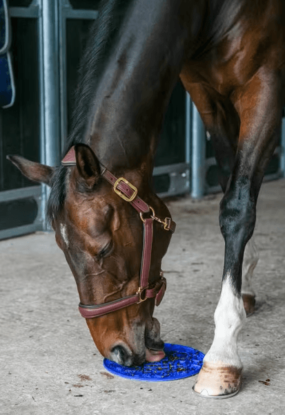 Hovedbilde Likit Graze Maze matte