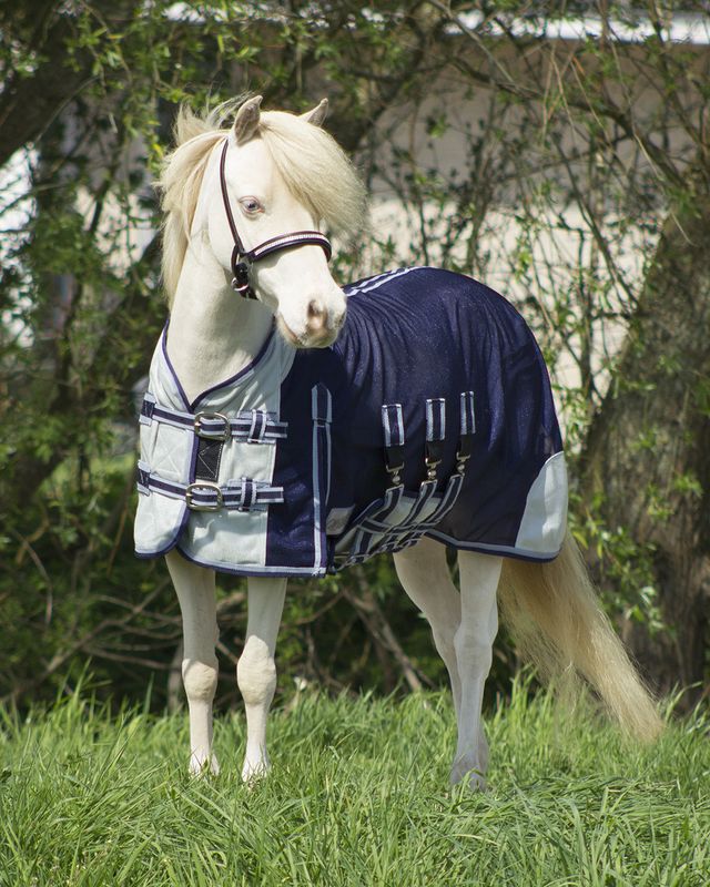 Fluedekken Minishetland / Falabella standard